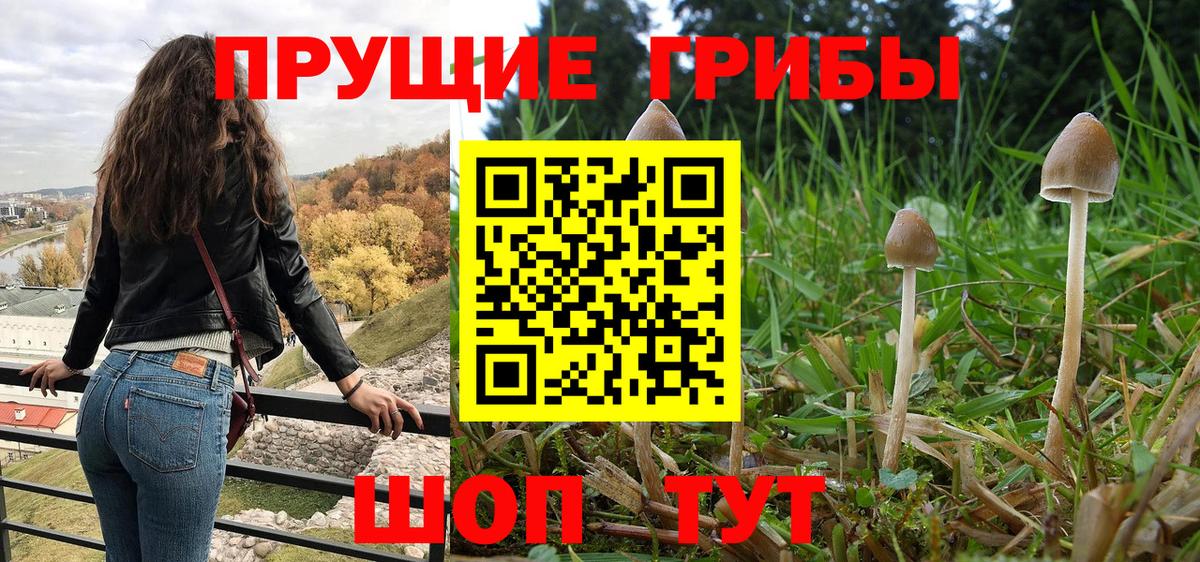 Еманжелинск  купить закладку  Вход с VPN  Псилоцибиновые грибы Psilocybine cubensis 